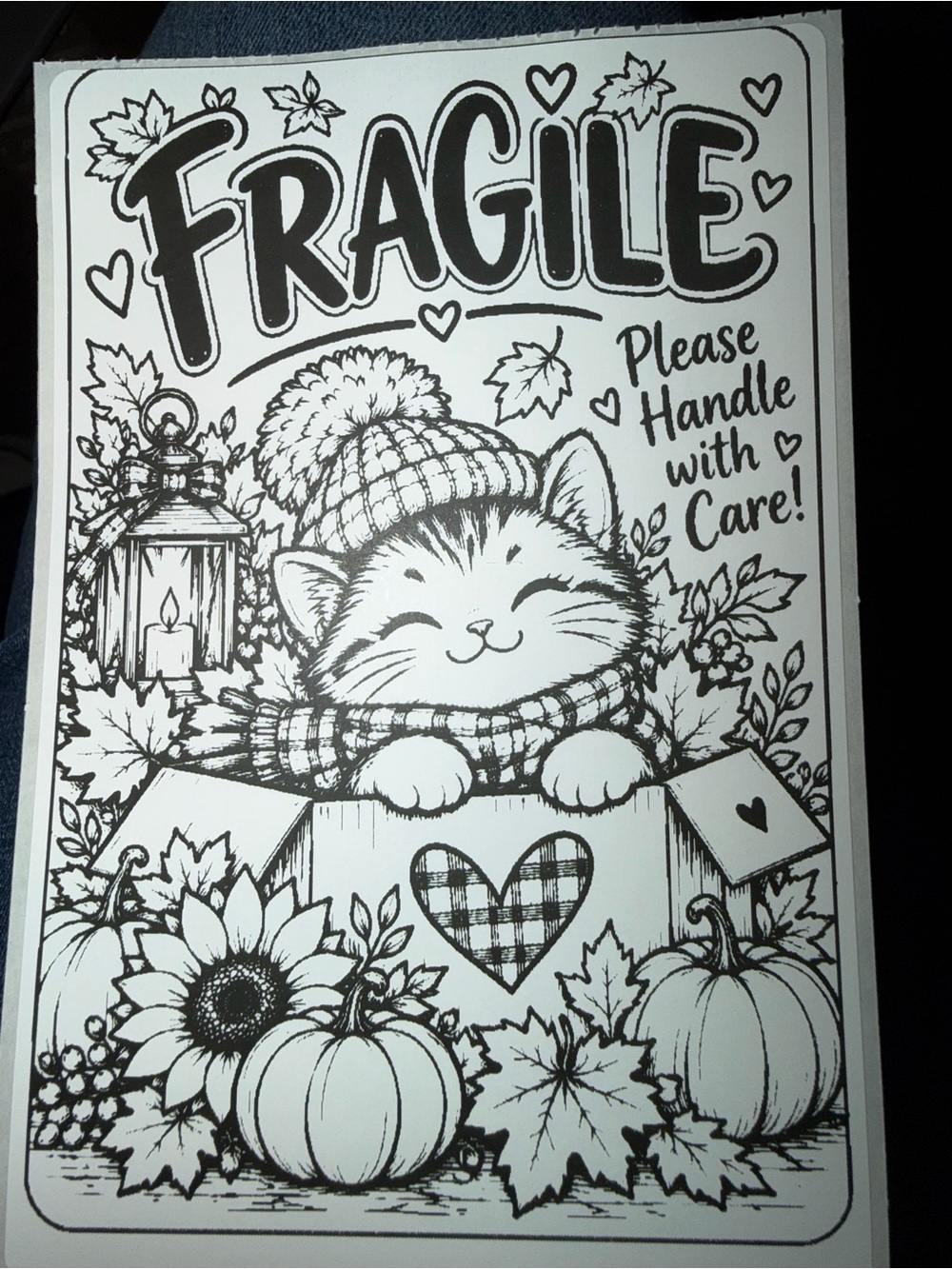 Fragile Cat Sticker 4x6 50 count